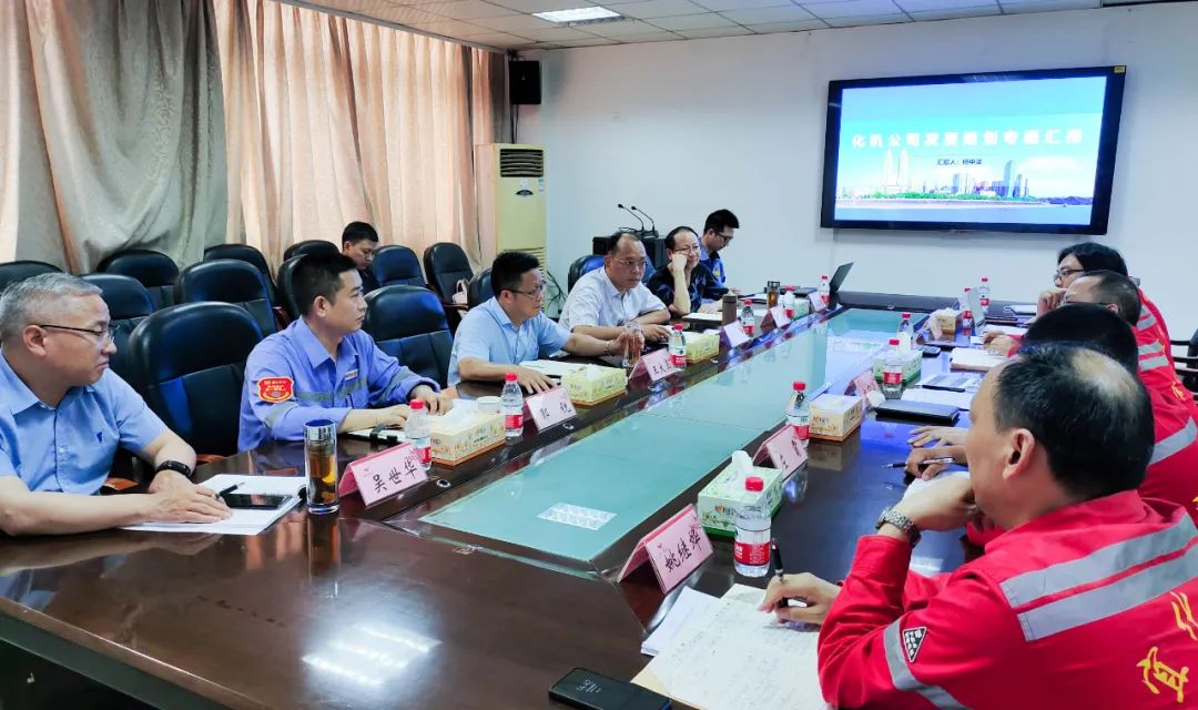 王大真一行到股份公司、化機公司現(xiàn)場辦公